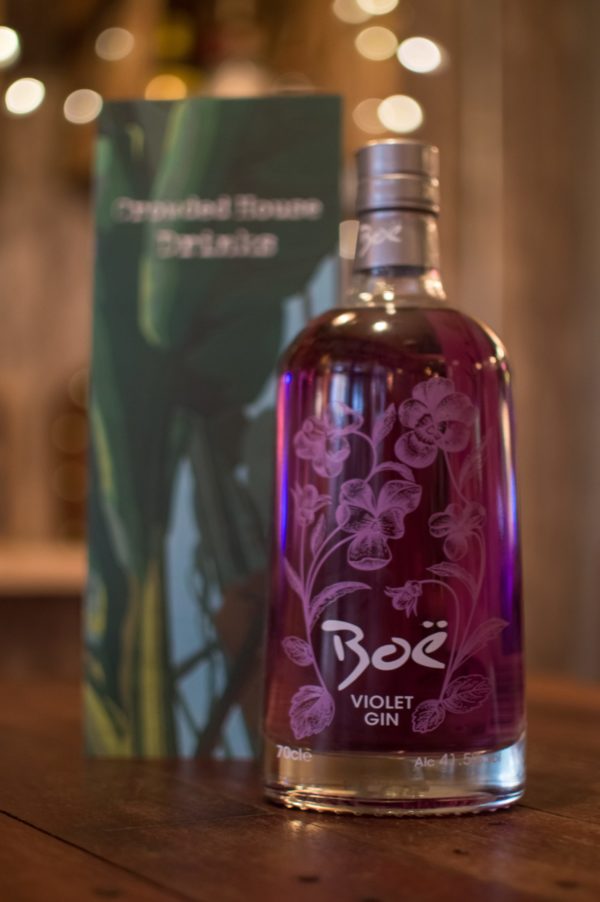 boe-violet-gin-image-1
